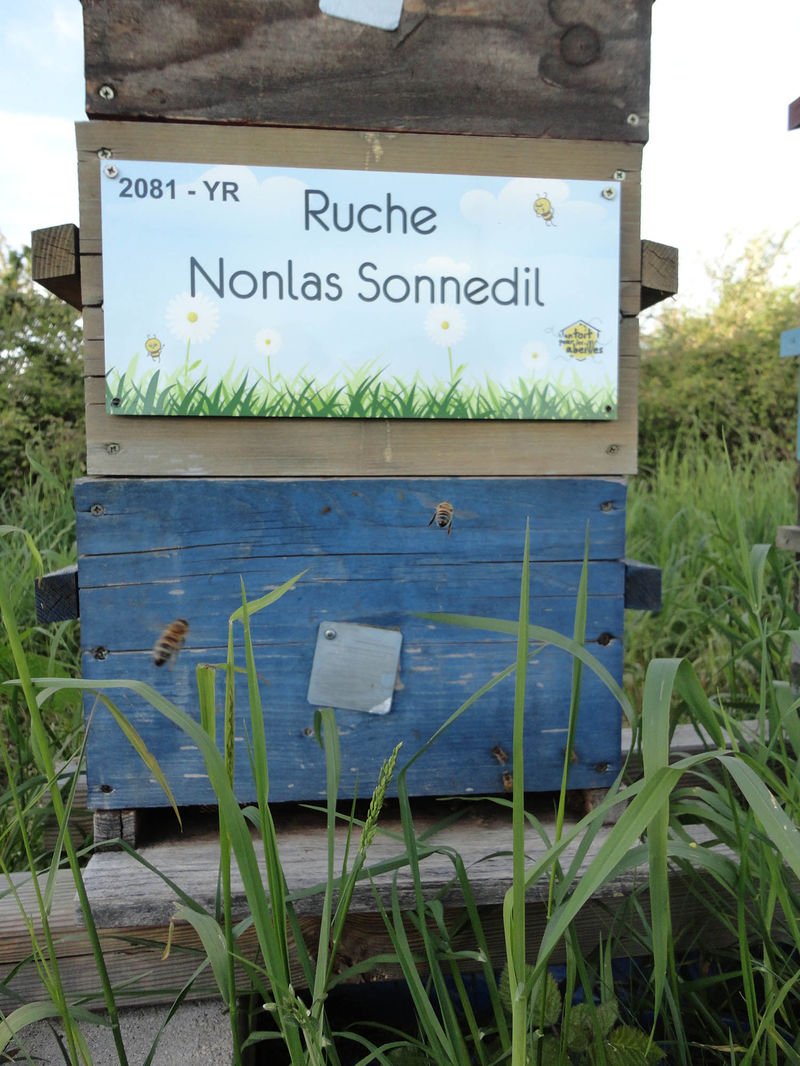 La ruche
